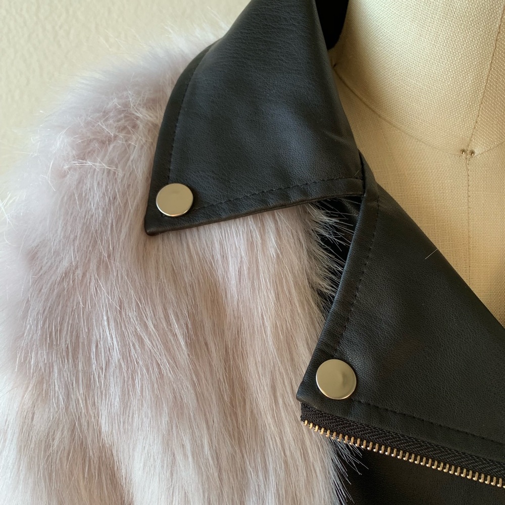 Jacket - Picture 5 of 8